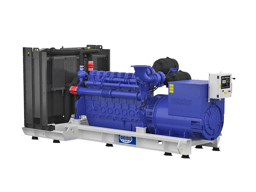 Large Range 800 kVA High-Performance Generators for Diverse Industries P1100-10.jpg